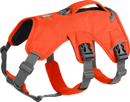 Ruffwear Ruffwear Web Master™ Harness Blaze Orange Hundeseler & hundehalsbånd Small