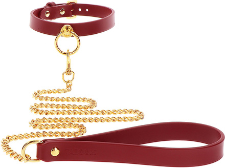 Taboom Luxury: O-Ring Collar & Chain Leash