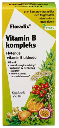 Floradix Vitamin B Complex