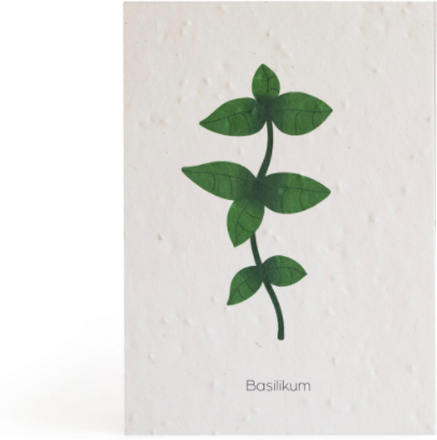 Plantekort med grafisk motiv - Basilikum