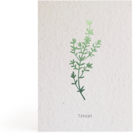 Plantekort med grafisk motiv - Timian