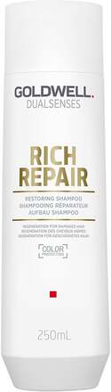 Goldwell Dualsenses Rich Repair Restoring Shampoo - 250 ml