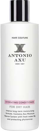 Antonio Axu Hydrating Conditioner For Dry Hair 250 ml