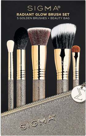 Sigma Beauty Radiant Glow Brush Set