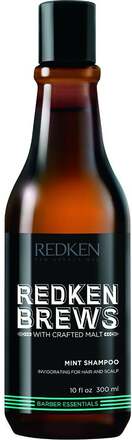 Redken Brews Mint Shampoo - 300 ml