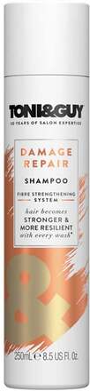 Toni&Guy Infinite Damage Repair Shampoo - 250 ml