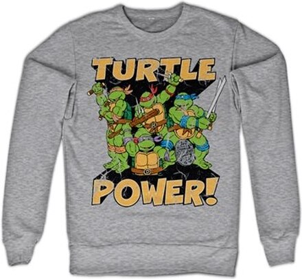TMNT - Turtle Power! Sweatshirt, Sweatshirt