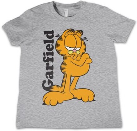 Garfield Kids T-Shirt, T-Shirt