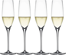 Spiegelau champagneflute - Authentis - 4 stk.