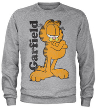 Garfield Sweatshirt, Sweatshirt