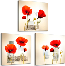 Canvas Tavla - Impression With Poppies