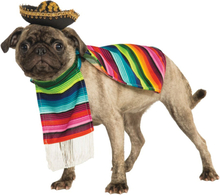 Mexiko Hund Maskeraddräkt - Medium