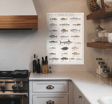 Verschillende soorten vis poster