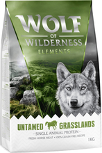 Zum Sonderpreis! Wolf of Wilderness Trockenfutter 2 x 1 kg - Untamed Grasslands - Pferd (Monoprotein)