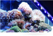 Unterwasser-24 LED 5W Aquarium Fish Tank Licht Saug-Stick Strip Gartenbar bunte Lampe