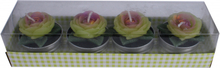 Arti Casa kaarsen rozen 4 x 4,5 cm wax groen 4 stuks