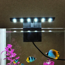 AC220V 5W 12 LED Aquarium Licht Fisch Glas Lampe