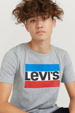 Levi's T-shirt Sportswear Logo Tee Grå