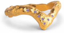 Gullemalje Ring Wishbone Accessories