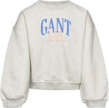 Gant Usa Voluminous C-Neck Sweat-shirt Genser Grå GANT*Betinget Tilbud