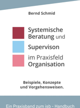 Systemische Beratung und Supervision im Praxisfeld Organisation