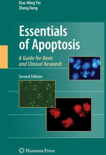 Essentials of Apoptosis