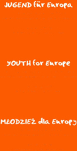 Jugend für Europa, 10 Jahre open space Praxis