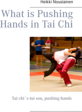 What is Pushing Hands in Tai Chi