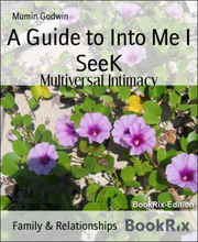 A Guide to Into Me I SeeK