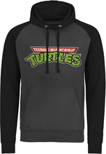 Teenage Mutant Ninja Turtles Classic Logo Baseball Hoodie, Hoodie