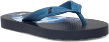Jnr Flip Flop Shoes Summer Shoes Blue Joules