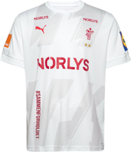 Dansk Håndbold Away Jersey T-shirts Short-sleeved Hvit PUMA*Betinget Tilbud