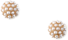 Orelia Pearl Encrusted Domed Stud Earrings Pale Gold