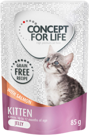 Zum Sonderpreis! Concept for Life getreidefrei 12 x 85 g - Kitten Lachs - in Sosse