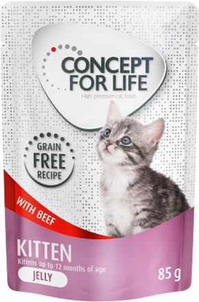 Sparpaket Concept for Life getreidefrei 24 x 85 g - Kitten Rind - in Gelee