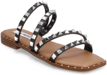 Skyler Sandal Shoes Summer Shoes Sandals Svart Steve Madden*Betinget Tilbud
