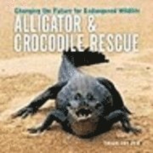 Alligator and Crocodile Rescue