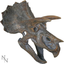 Triceratops Head 23cm