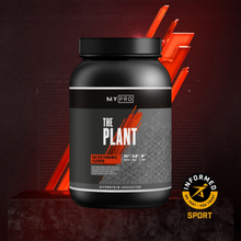 THE Plant - 20servings - Salted Caramel