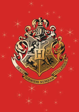 Harry Potter Star Hogwarts Gold Crest Sweatshirt - Red - L