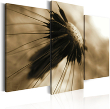 Canvas Tavla - A dandelion in sepia - 60x50