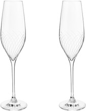 Holmegaard - Lines champagneglass 29 cl 2 stk