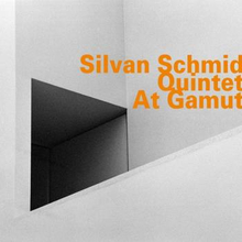 Schmid Silvan: At Gamut
