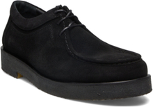 Shoes - Flat - With Lace Desert Boots Snøresko Black ANGULUS