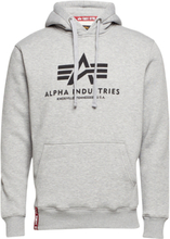 Basic Hoody Designers Sweatshirts & Hoodies Hoodies Grey Alpha Industries