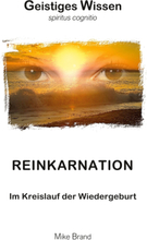 Reinkarnation