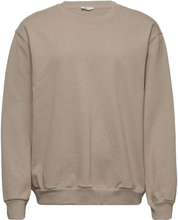 M. Cedric Sweatshirt Designers Sweatshirts & Hoodies Sweatshirts Beige Filippa K