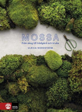 Mossa - Från Skog Till Trädgård Och Kruka