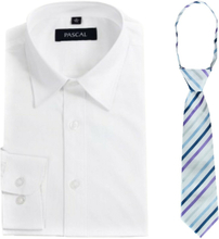 Hvit skjorte med fagerikt slips