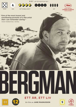 Bergman - Ett år Ett liv